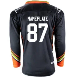 Anaheim Ducks Firstar Gamewear Pro Performance Hockey Jersey With Customization -Hockey Tron Anaheim B 2