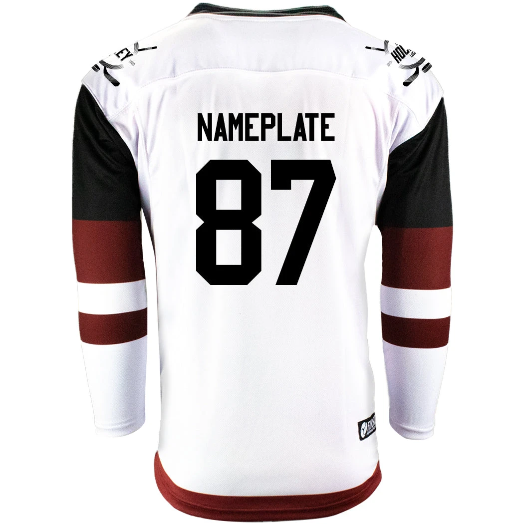 Arizona Coyotes Firstar Gamewear Pro Performance Hockey Jersey With Customization 6 Arizona Coyotes Firstar Gamewear Pro Performance Hockey Jersey With Customization - Image 6