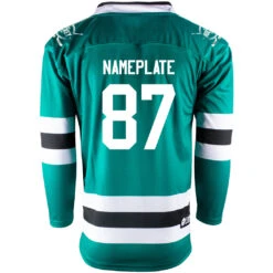 Dallas Stars Firstar Gamewear Pro Performance Hockey Jersey With Customization -Hockey Tron Dallas G 2