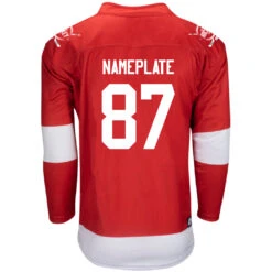 Detroit Red Wings Firstar Gamewear Pro Performance Hockey Jersey With Customization 9 Detroit Red Wings Firstar Gamewear Pro Performance Hockey Jersey With Customization -Hockey Tron Detroit R 2
