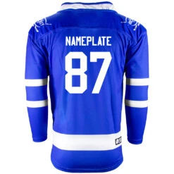 Toronto Maple Leafs Firstar Gamewear Pro Performance Hockey Jersey With Customization -Hockey Tron Toronto B 2