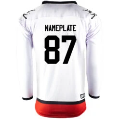 Washington Capitals Firstar Gamewear Pro Performance Hockey Jersey With Customization -Hockey Tron Washington W 2