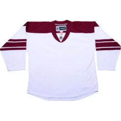 Phoenix Coyotes Hockey Jersey - TronX DJ300 Replica Gamewear -Hockey Tron media c1c4987d 0398 4913 8fa2 a650adb8ad79